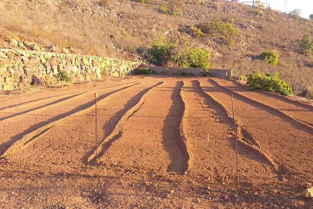 Casa Rural Estrella Costa Adeje  Horská chata Costa Adeje (Tenerife)